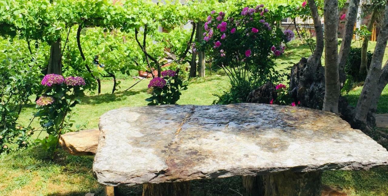Casa Lia Da Porta Villa Caminha Eksteriør billede
